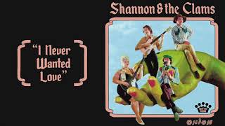 Watch Shannon  The Clams I Never Wanted Love video