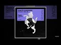 Sante Sansone - Damn (Federico Ambrosi Remix)