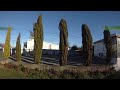 boscom HD19 camera fly in the sun light