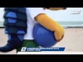 LA MASCOTA DEL MUNDIAL BRASIL 2014 SE LLAMARÁ FULECO