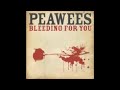 Peawees - I Should Have Known Better (Beatles cover)
