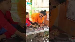 Wowo Jadi Kucing Garong
