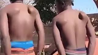 Vidio luco