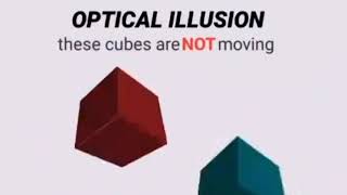 Optical Illusion These Cubes Art Not Removing Meme
