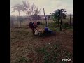 Inkosi yamagcokama - Asenzelebona