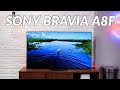 Sony BRAVIA A8F: lựa chọn OLED thay cho LCD cao cấp, 55" giá 59 triệu đồng