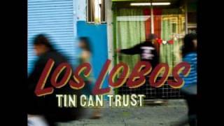 Watch Los Lobos On Main Street video