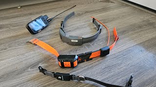 Gps Dog Collar Reviews