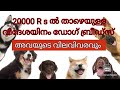 AVAILABLE DOG BREEDS UNDER 20,000 Rs KERALA PRICE RANGE