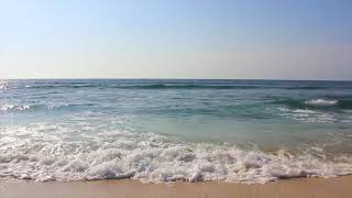 relaxing instrumental music - I wait for the flower to bloom among us