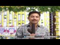 Allu Arjun Naa Peru Surya Naa Illu India Movie Opening Video | Vakkantham Vamsi, Nagababu, Allu Arjun Naa Peru Surya Naa Illu India Movie Opening Video | Vakkantham Vamsi, Nagababu,