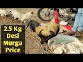 Chicken & Desi Murga price | Desi Murgi | Gavrani Chicken |Desi Chicken & Desi Murgi गावरणी मुर्गा