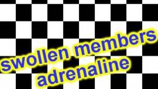 Watch Swollen Members Adrenaline video