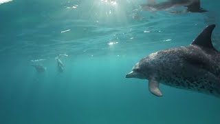 Coastal Opposition to Offshore Drilling