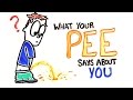 What Does Your PEE Say About You?