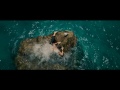 The Shallows Official Trailer 2016 Blake Lively Shark Thriller Movie The Shallows Official Trailer 2016 Blake Lively Shark Thriller Movie