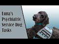 My Service Dogs Psychiatric Tasks