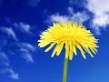 I will always be there! - Good Morning ecards - Everyday Greeting Cards I will always be there! - Good Morning ecards - Everyday Greeting Cards