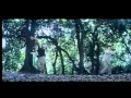 Ranker Video