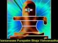 Sri Kashi Vishwanath Ashtakam - with subtitles