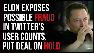 Elon May Have Uncovered FRAUD At Twitter, Puts Deal On Hold