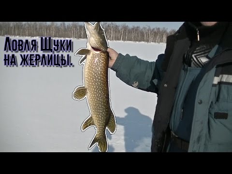 когда закрывать сезон рыбалки когда закрывать сезон рыбалки