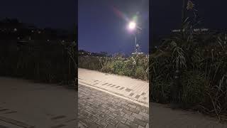 Belona Lake Eforie Nord City Light