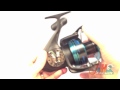 DAIWA SALTIST