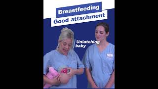Breastfeeding Good Attachment