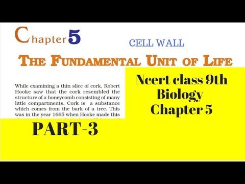 Part 3 The Fundamental unit of Life Class 9 Science Chapter 5 Biology CBSE NCERT