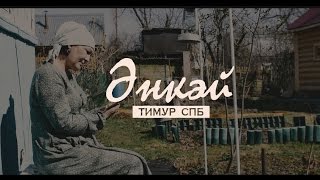 Тимур Спб - Энкэй