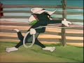 Desene animate - tom si jerry - youtube