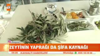 Zeytin yaprağı çayı nasıl yapılır? - atv Kahvaltı Haberleri