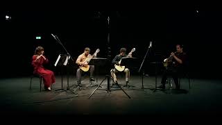 F. Rebay Serenade for flute, horn and two guitars - 1. Prelude