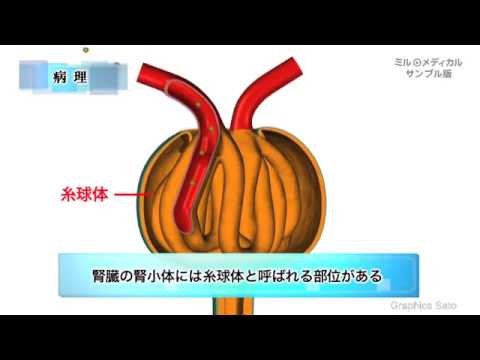 ゴルフ バッグ 激安 amazon / 時計 激安 amazon