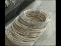 filigrana