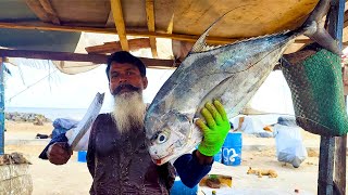 Cutting Huge Diamond Trevalley Fish