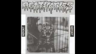 Watch Agathocles Report video