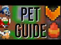 RotMG - The Complete Pet Guide (Basics, Fusing, Leveling, Fame, Feeding)