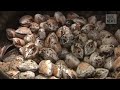 VICE News Daily: Beyond The Headlines - July, 04 2014