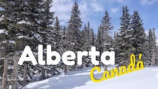 LLEGANDO A ALBERTA, CANADÁ 🇨🇦 #1 ︱ De Viaje con Armando