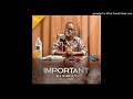 VEE MAMPEEZY - IMPORTANT ( prod by Dr Tawanda)