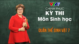 Tháp sinh thái - Dòng năng lượng trong hệ sinh thái | Chinh phục kỳ thi THPTQG môn Sinh học
