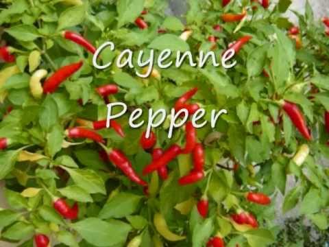 Natural Herbs For Diabetes Medicinal Herbs Youtube