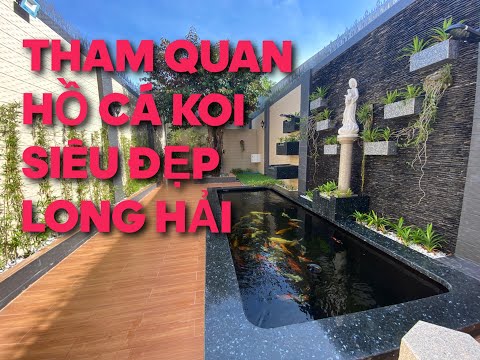 HỒ KOI SIÊU ĐẸP TẠI LONG HẢI
