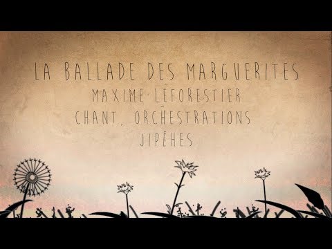 Boulevard Du Temps Qui Passe Video