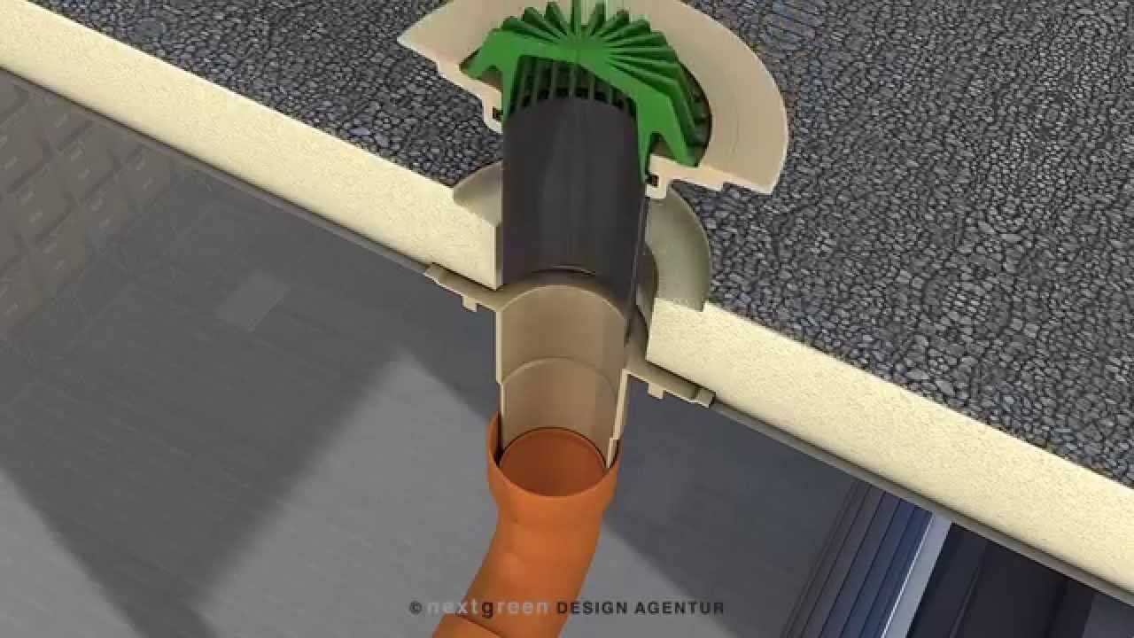 Regenwasser Flachdachablauf nextgreen building YouTube