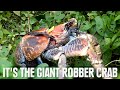 creatures