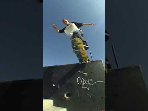Van Wastell 2006 Classic Skateboarding Shorts