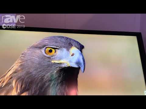 DSE 2019: Optoma Showcases Its 75″ IFP Creative Touch Interactive Flat Panel With Embedded Android
